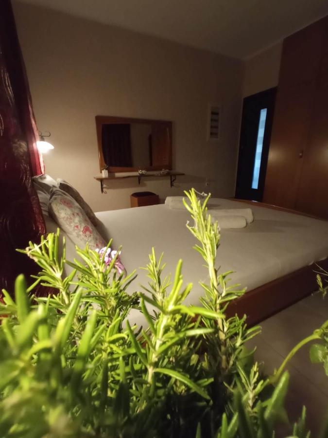 Villa Erasmia Dekarcho ภายนอก รูปภาพ